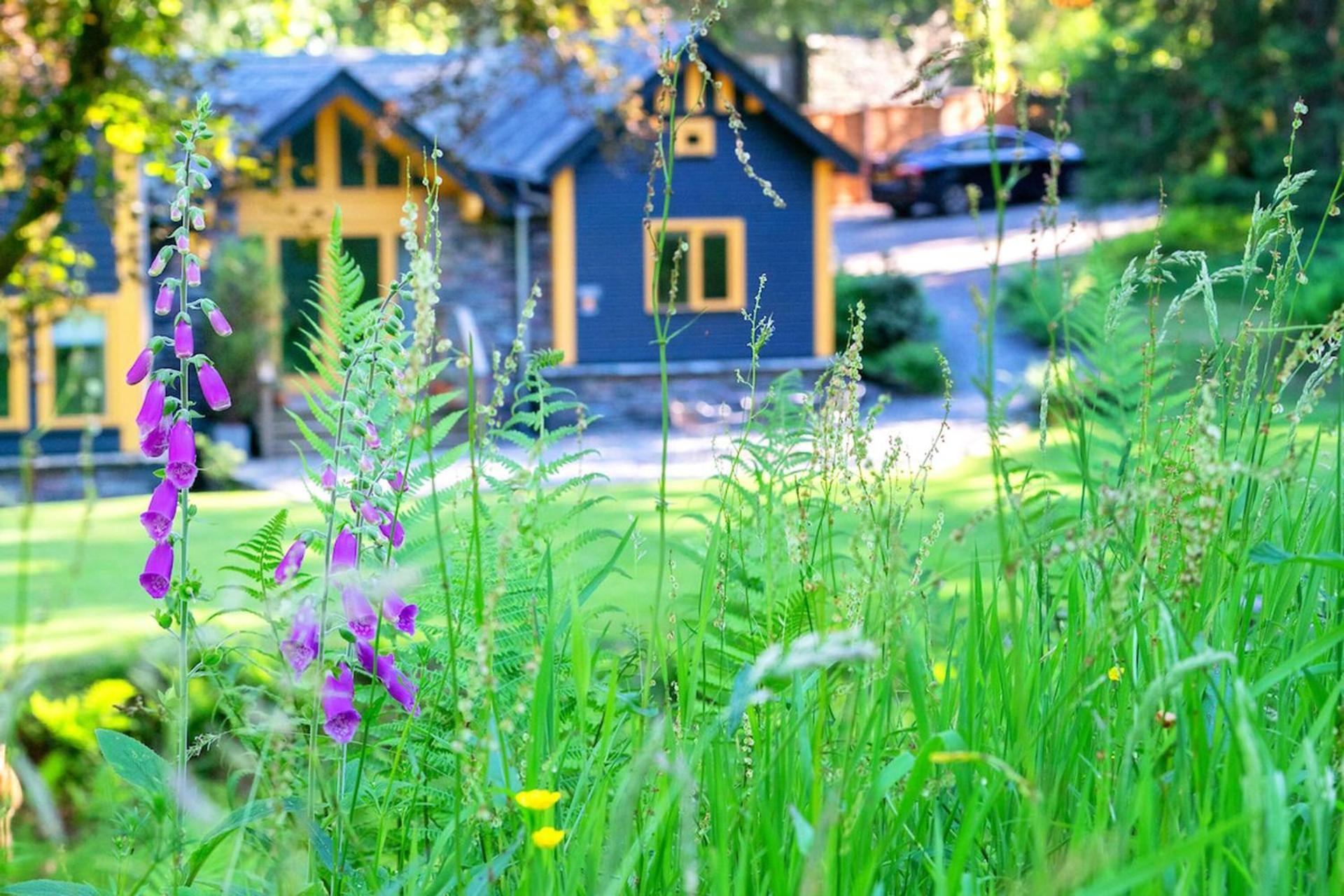 Carr Crag Pavilion Little Langdale Dış mekan fotoğraf